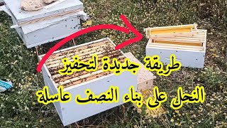 طريقة مبتكرة ( النصف عاسلة ) تحفيز النحل على بناء اطارات نصف عاسلة فكرة رائعة