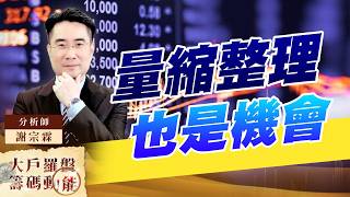 量縮整理也是機會｜大戶羅盤籌碼動能 ｜謝宗霖