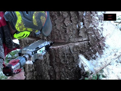 Chainsaw Compilation 》 ValFast 》 Nie mehr ohne unseren Fällkeil 》 Nie Stil_los in den Wald 》BaSt-Ing