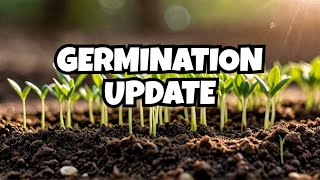 NEW LIFE Sprouts Everywhere in My Germination Update!