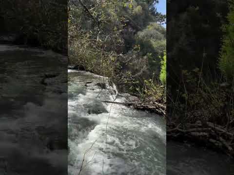 Parque do Caracol, Canela, Rio Grande do Sul, 2025 #gramado #riograndedosul #cachoeira