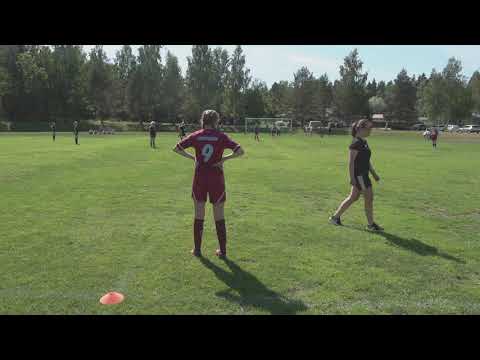 Hertta07-pallokissat