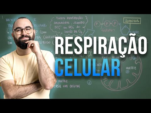 Mitocôndria e Respiração Celular - Aula 26 - Módulo 1 - Biologia Celular | Prof. Guilherme