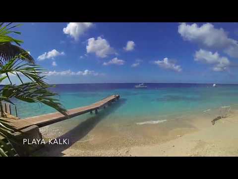 Experience the caribbean island Curacao - 2020