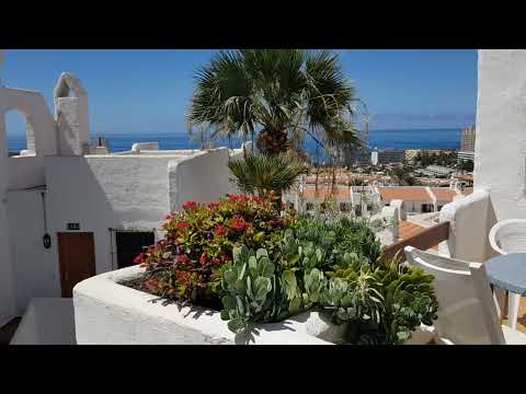 D207 Beverly Hills Club