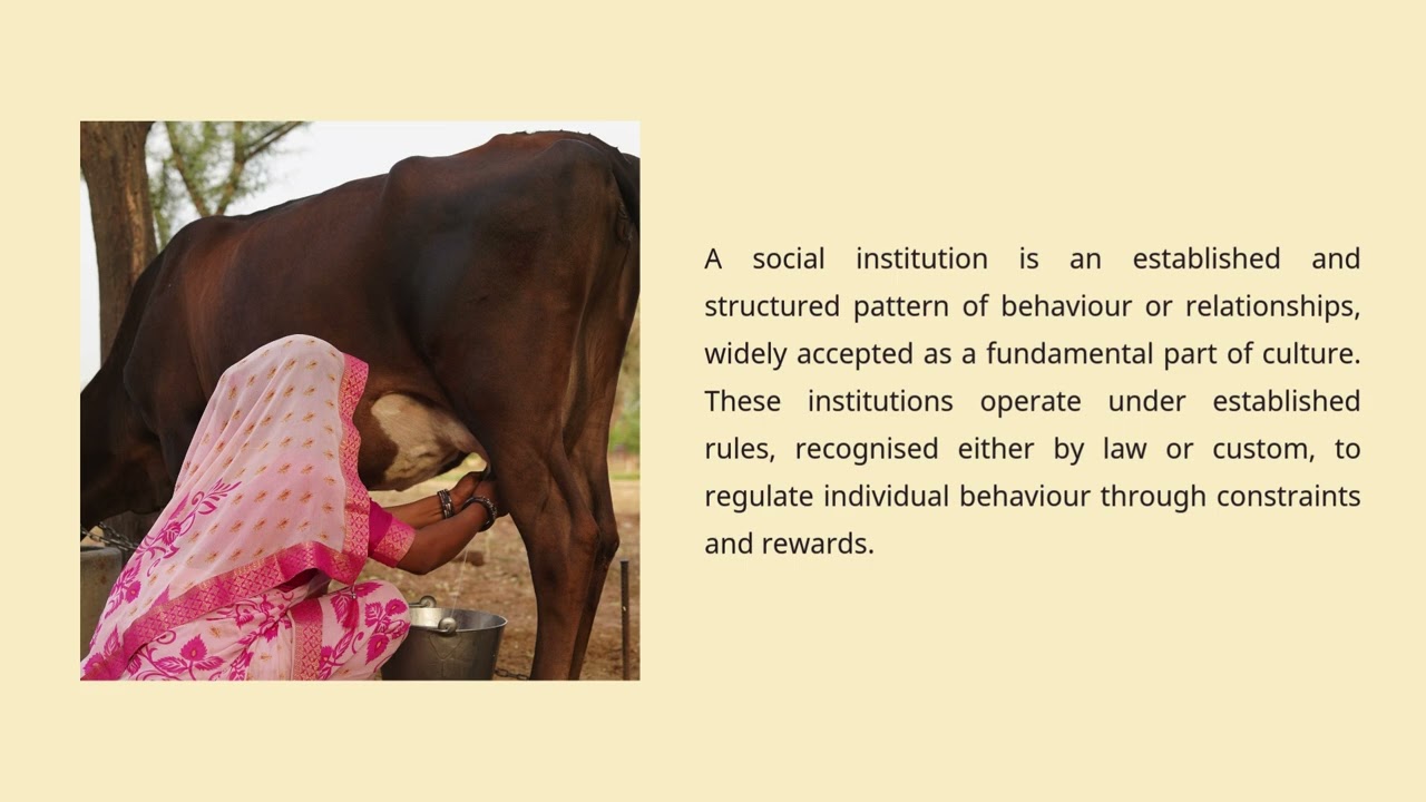 Understanding Social Institutions Notes - Sociology Chapter 3 Class 11
