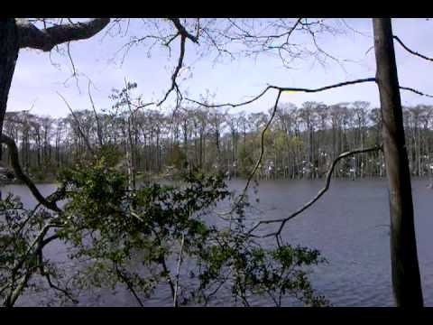 video-2010-03-23-13-41-51