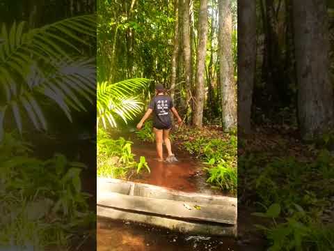 São João da Ponta _Pará 15/08/2025