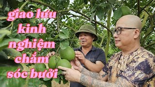 Is Vườn Bưởi Nhà Volg Huy Hùng the BEST Destination for Family Fun?