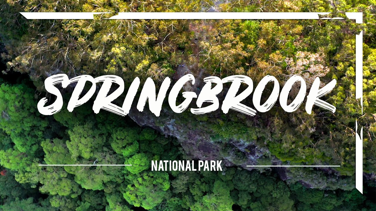 Join a traveler on a captivating journey to Springbrook National Park.