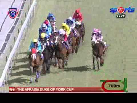 2014.10.26 Duke of York Cup (MRI) - Love Struck