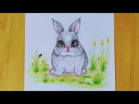 How to draw a rabbit || rabbit drawing easy ||pencil...