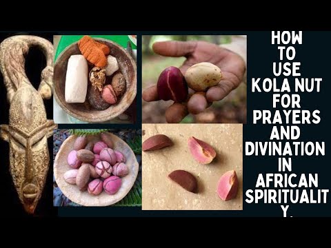 Spiritual Powers of  Kola Nut for Prayers & Divination in African Spirituality