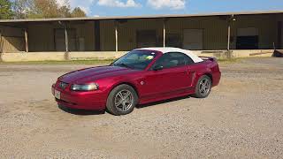 2004 Ford Mustang Convertible Walk Around and Drive Away