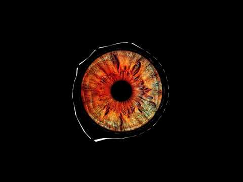 DIXMOUNT - Terrorizm (Original Mix)