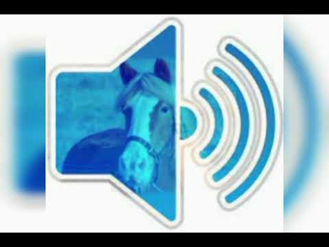 horse die sound effect 🐴❌ | sound effects and gaming fx and gfx sounds 🎶