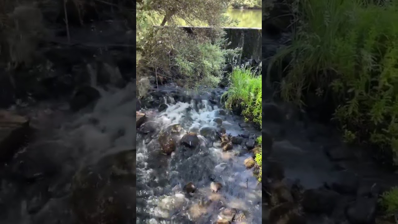 YouTube Short thumbnail