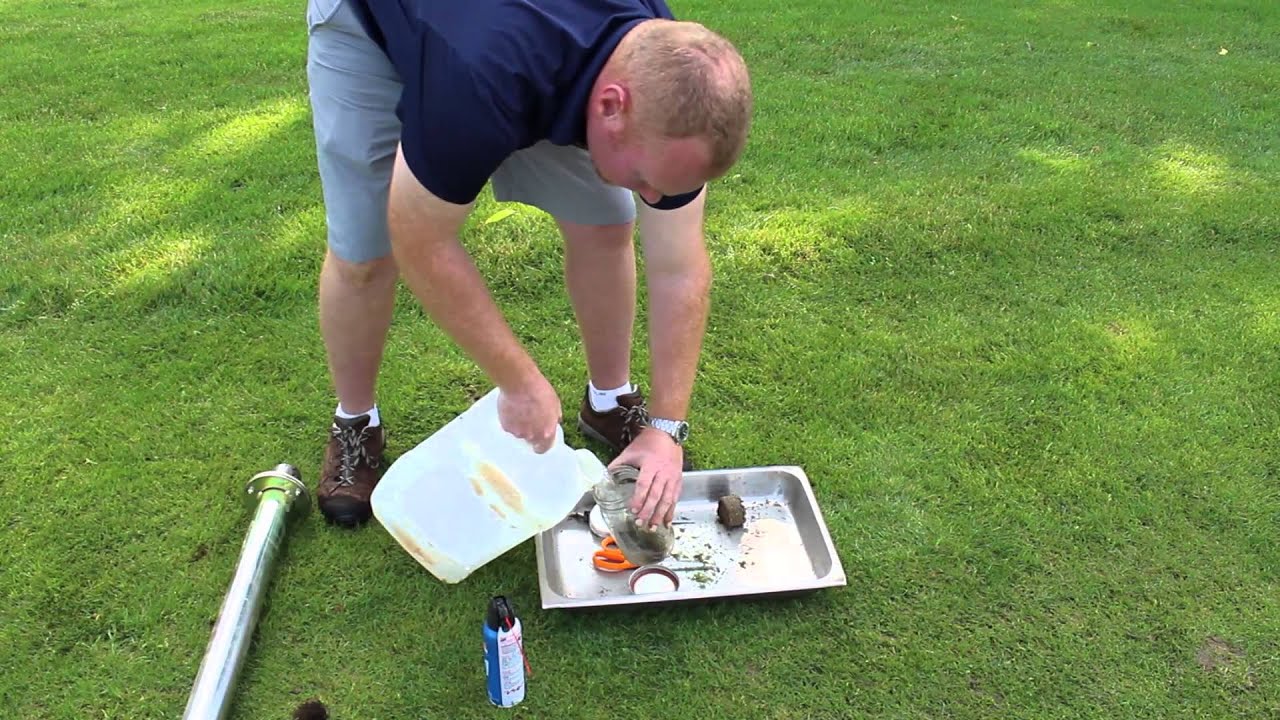 ABW Larvae: Monitoring and Scouting using a Salt Flush