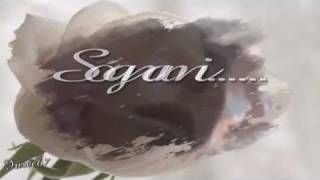 ●•●• Amedeo Minghi ~ Sognami •●•●