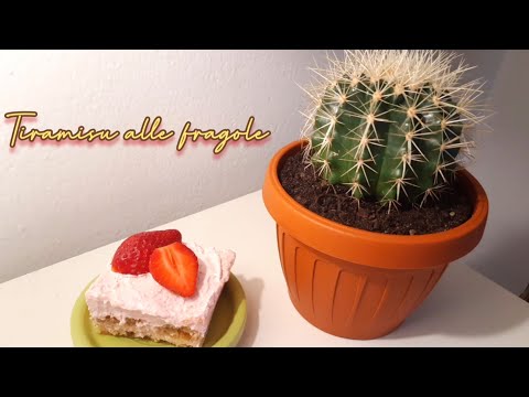 Tiramisu alle fragole senza mascarpone senza forno 🍓