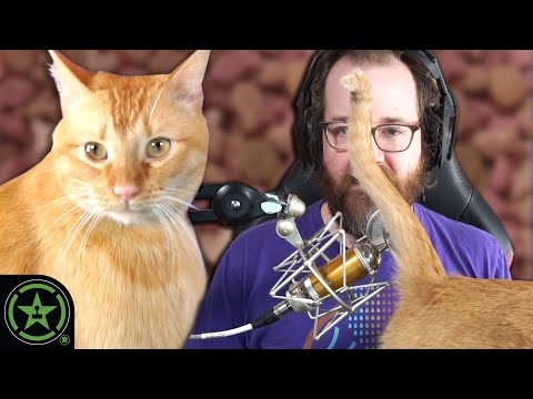 Cats Take Over AHWU | AHWU #560 (Jan 18, 2021)