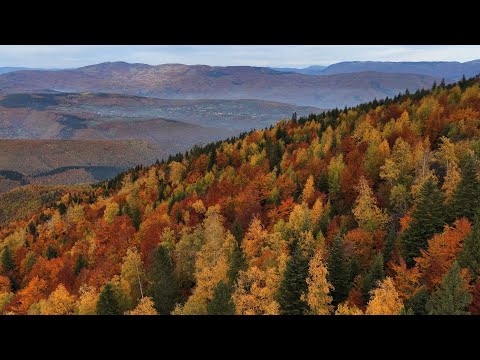 Jesenska moć šume (Poljane - Vitez)