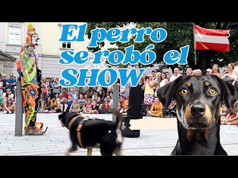 El perro lo hizo mejor que el público - Karcocha en Linz Austria - Julio 2024