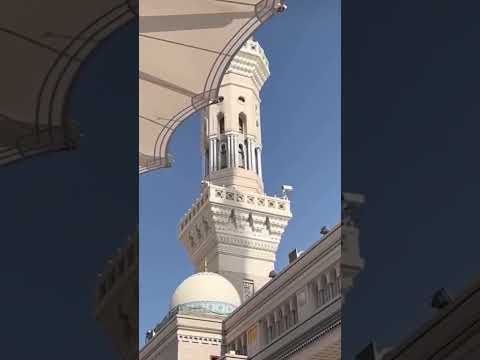 💚💚💚💚💚💚💚💚💚💚