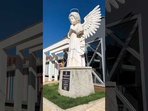 6 Cidades Mineiras da Zona da Mata que ficam próximas a divisa com o Espírito Santo