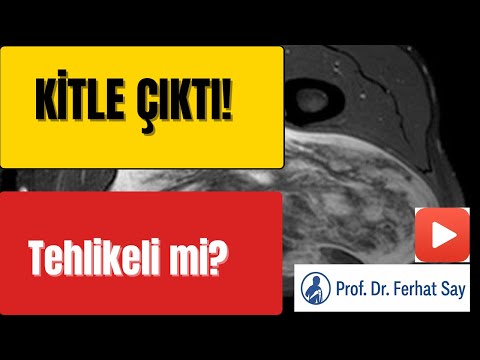 Ferhat Say-1