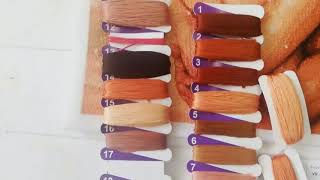 Я з тобою VN-027