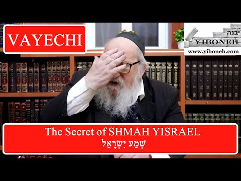 Rav Yitzchak Breitowitz: The Secret of SHMAH YISRAEL שְׁמַע יִשְׂרָאֵל