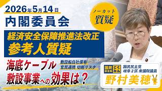 【国民民主党 野村美穂 質疑】26/5/14経済安全保障推進法改正案 参考人質疑を行いました