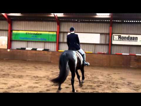 Dressuurwedstrijd Vrouwenparochie - 2e proef Beitske Groeneveld