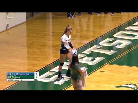 Volleyball vs. CCSU - Highlights