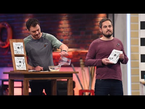 All in Wash - Wasch Dich ohne Verpackungsmüll - Das Ding des Jahres