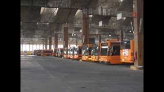 Davide Van De Sfroos - La curiera