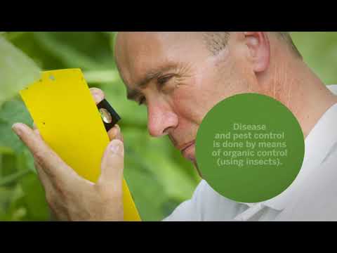 download lagu mp3 mp4 In Het Algemeen Engels, download lagu In Het Algemeen Engels gratis, unduh video klip In Het Algemeen Engels