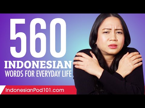 560 Indonesian Words for Everyday Life - Basic Vocabulary #28