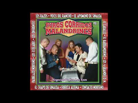 download lagu mp3 mp4 Narco Corridos Vol 2, download mp3 Narco Corridos Vol 2 free download, download mp3 Narco Corridos Vol 2