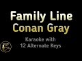 Conan Gray Family Line Karaoke Instrumental Lower Higher Female Original Key