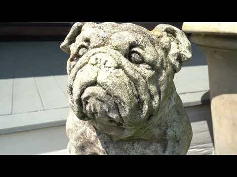 ✨✨ HOMES in  WESTON MA✨✨