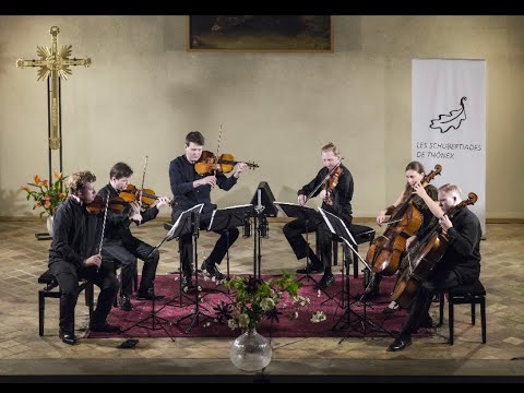 Tchaïkovsky, "Souvenir de Florence", David Oistrakh Quartet, Darryl Bachmann, Nadège Rochat