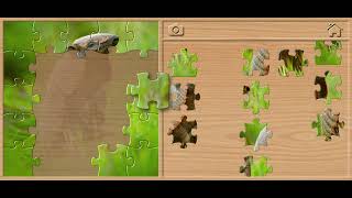 ๐งฉ Armadillo Jigsaw Puzzle - Animals Puzzles for Kids Walkthrough