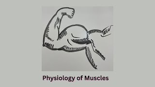 MusclePhysio