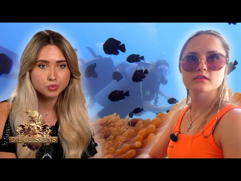 Zicken-Alarm! 😳 Shania Geiss geht auf Tauchstation... 🤿 | Die Geissens #382
