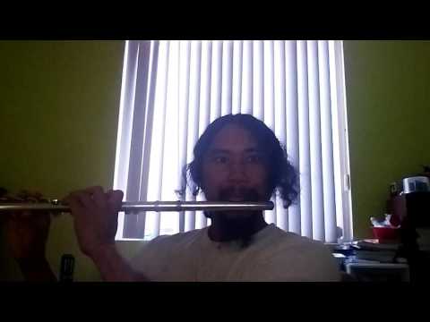 The Chainsmokers ft. Halsey - Closer flutestuff