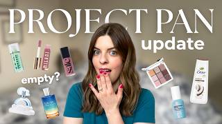 honest update about my project pan 2025...