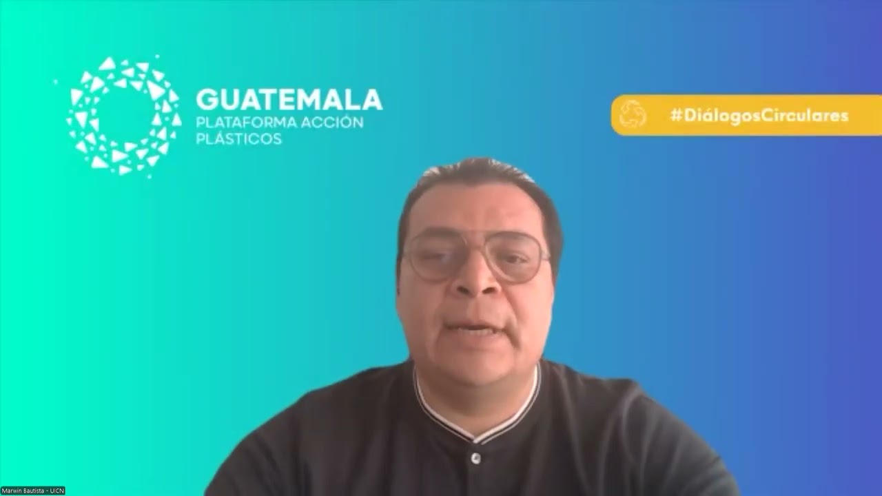 Diálogos Circulares NPAP Guatemala - Webinar 5