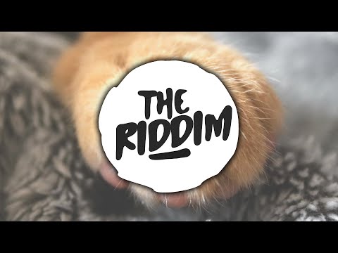 STIEKZ X SOUL FAYA X AVI S - KALE PUNI